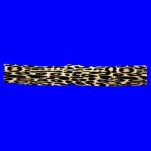 Cheetah print Goggle Design